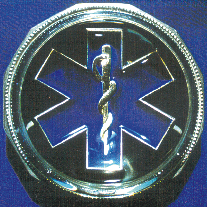 White Gold and Blue Enamel EMS Symbol Paperweight - Click Image to Close